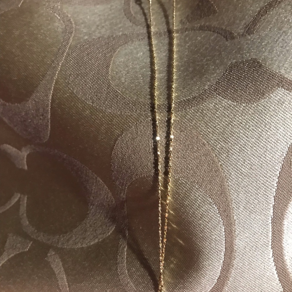 Delicate silver chain with gold overlay